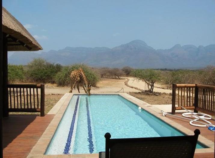 Wildlife Estate In Limpopo Villa Hoedspruit Room photo